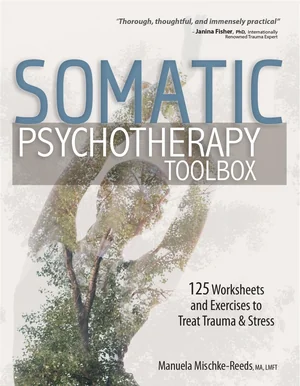Book cover of Somatic Psychotherapy Toolbox by Manuela Mischke-Reeds